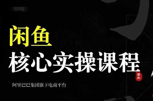 2024闲鱼核心实操课程，从养号、选品、发布、销售，教你做一个出单的闲鱼号-404网创