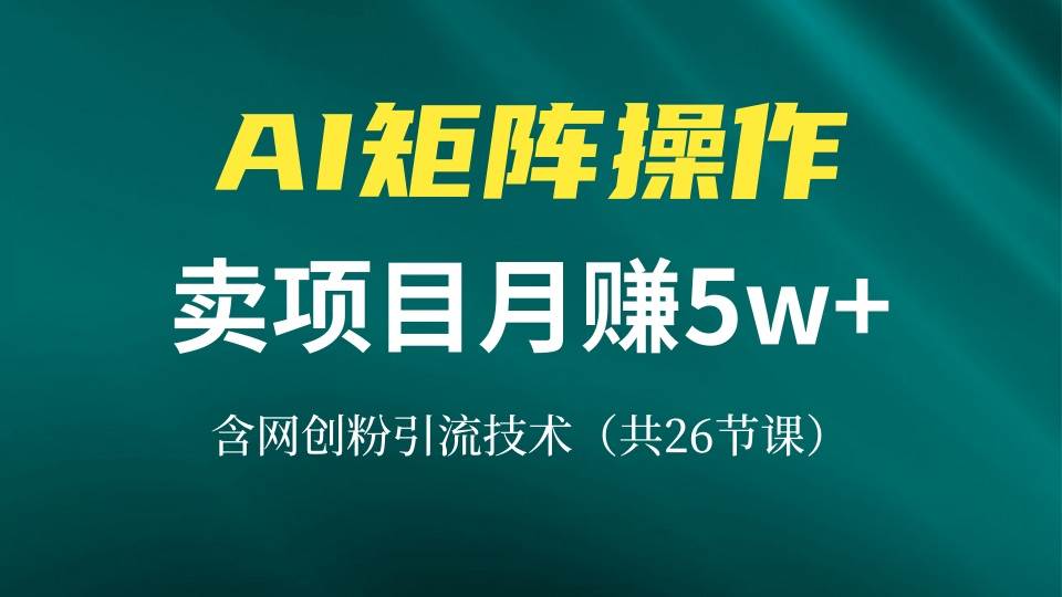 （13335期）网创IP打造课，借助AI卖项目月赚5万+，含引流技术（共26节课）-同心网创