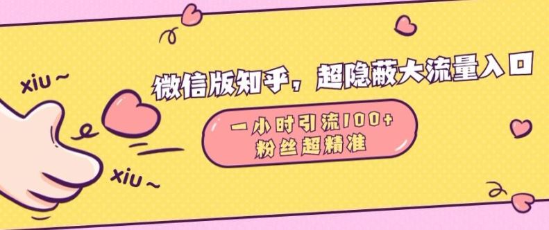 微信版知乎，超隐蔽流量入口1小时引流100人，粉丝质量超高【揭秘】-404网创