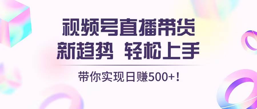 （13370期）视频号直播带货新趋势，轻松上手，带你实现日赚500+-同心网创