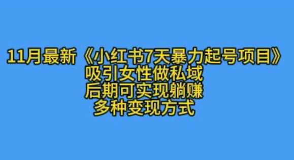 K总部落11月最新小红书7天暴力起号项目，吸引女性做私域【揭秘】-同心网创