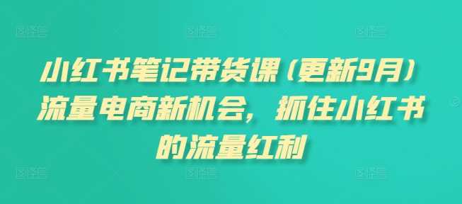 小红书笔记带货课(更新11月)流量电商新机会，抓住小红书的流量红利-404网创