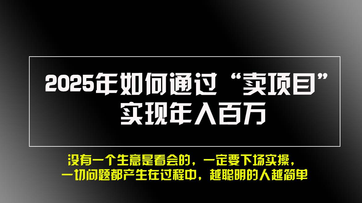 （13468期）2025年如何通过“卖项目”实现年入百万，做网赚必看！！-404网创