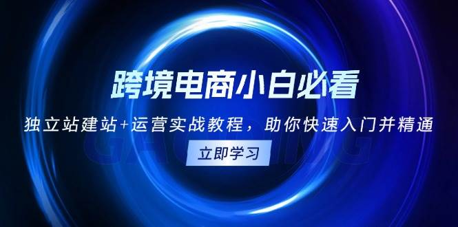 （13503期）跨境电商小白必看！独立站建站+运营实战教程，助你快速入门并精通-404网创