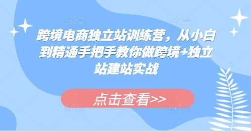 跨境电商独立站训练营，从小白到精通手把手教你做跨境+独立站建站实战-404网创