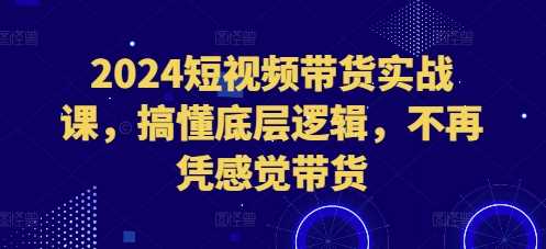 2024短视频带货实战课，搞懂底层逻辑，不再凭感觉带货-404网创