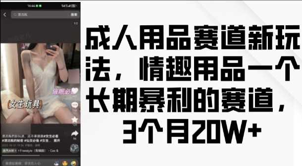 成人用品赛道新玩法，情趣用品一个长期暴利的赛道，3个月收益20个【揭秘】-同心网创