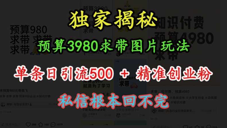 预算3980求带 图片玩法，单条日引流500+精准创业粉，私信根本回不完-同心网创