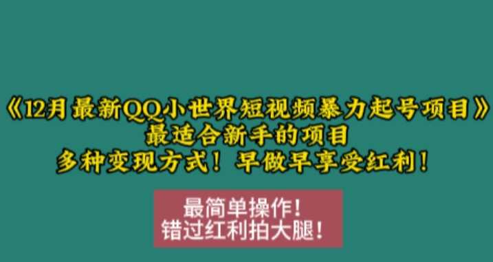 12月最新QQ小世界短视频暴力起号项目，最适合新手的项目，多种变现方式-404网创