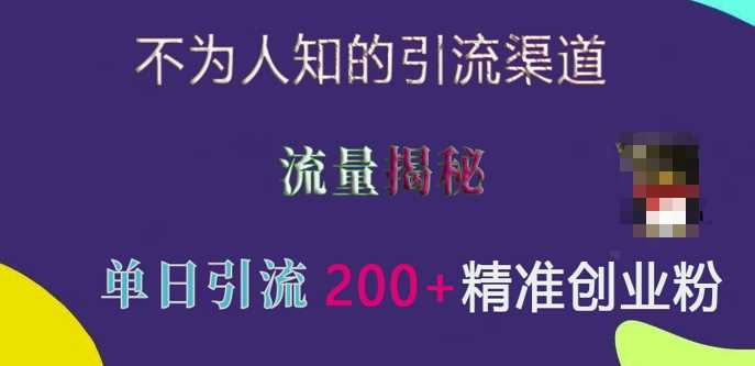 不为人知的引流渠道，流量揭秘，实测单日引流200+精准创业粉【揭秘】-同心网创