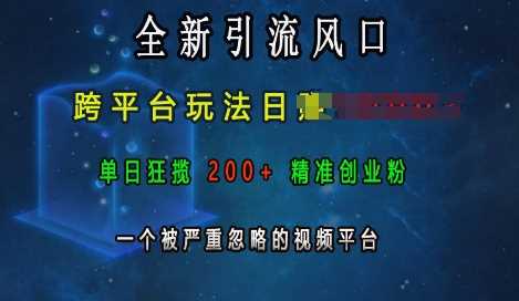 全新引流风口，跨平台玩法日入上k，单日狂揽200+精准创业粉，一个被严重忽略的视频平台-同心网创