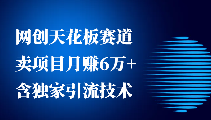 网创天花板赛道，卖项目月赚6万+，含独家引流技术（共26节课）-404网创