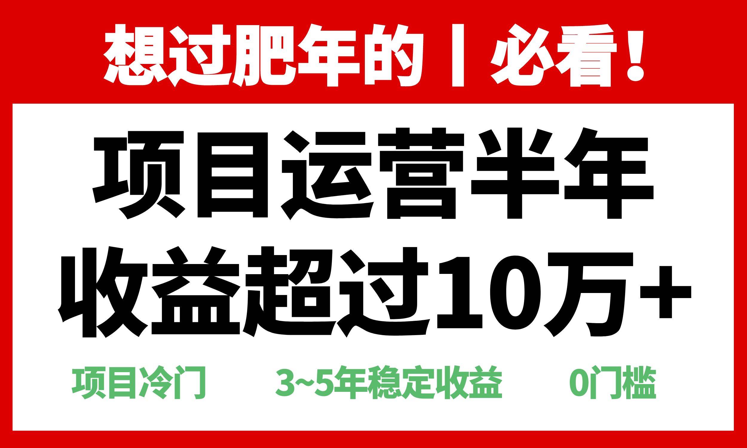 （13663期）年前过肥年的必看的超冷门项目，半年收益超过10万+，-同心网创