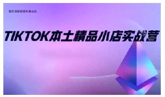 TikTok本土精品小店出海实战营，从入门到高阶，不止0-1!-404网创