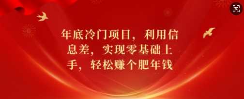 年底冷门项目，利用信息差，实现零基础上手，轻松赚个肥年钱【揭秘】-404网创