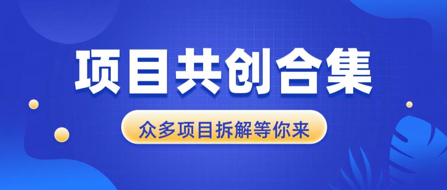 （13778期）项目共创合集，从0-1全过程拆解，让你迅速找到适合自已的项目-404网创