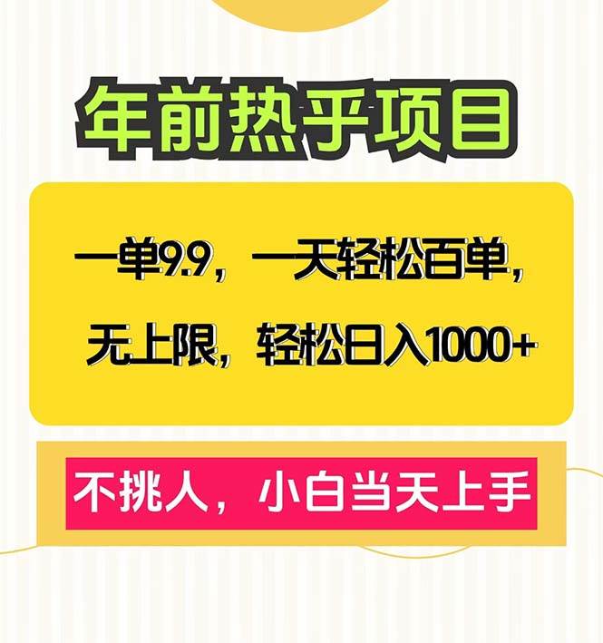 （13795期）一单9.9，一天百单无上限，不挑人，小白当天上手，轻松日入1000+-404网创