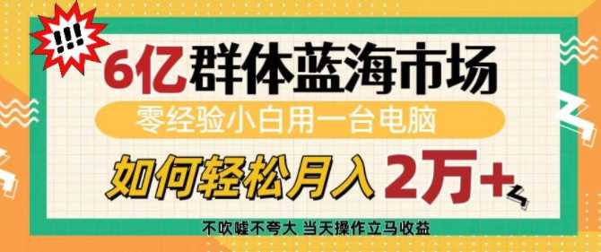 6亿群体蓝海市场，零经验小白用一台电脑，如何轻松月入过w【揭秘】-同心网创