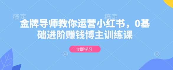 金牌导师教你运营小红书，0基础进阶赚钱博主训练课-同心网创